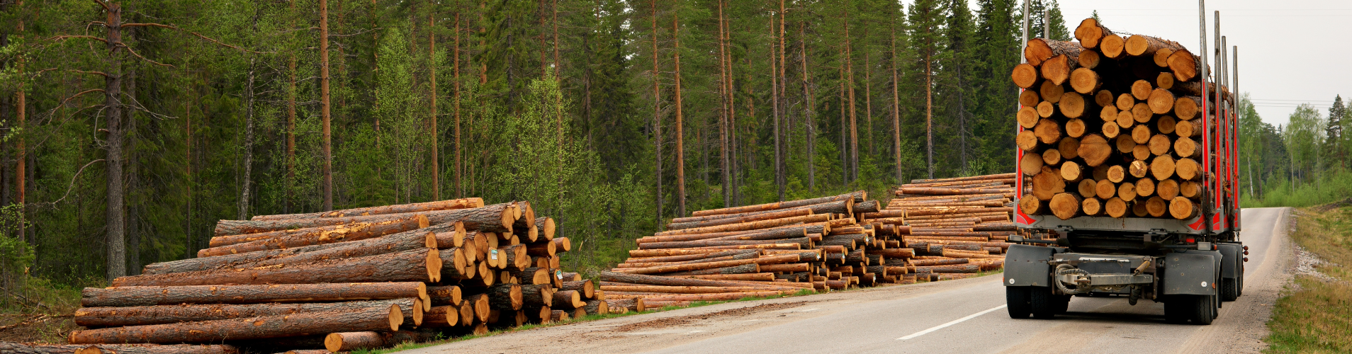 Logs on the side of the road and a truck loaded with logs.